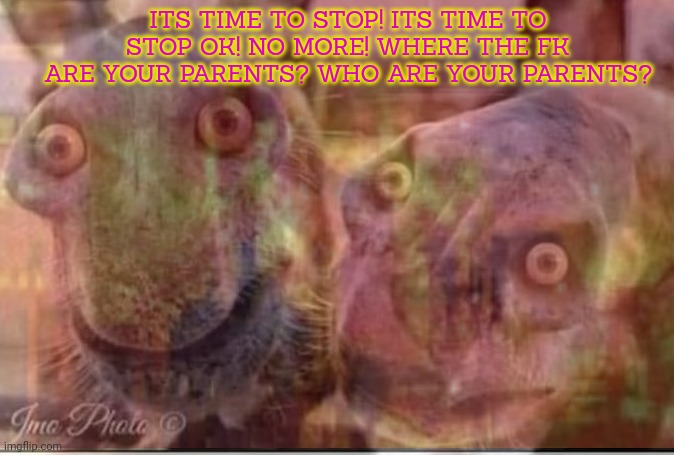 Hell donkeys | ITS TIME TO STOP! ITS TIME TO STOP OK! NO MORE! WHERE THE FK ARE YOUR PARENTS? WHO ARE YOUR PARENTS? | image tagged in hell,donkey,cursed image,no no no,its time to stop | made w/ Imgflip meme maker