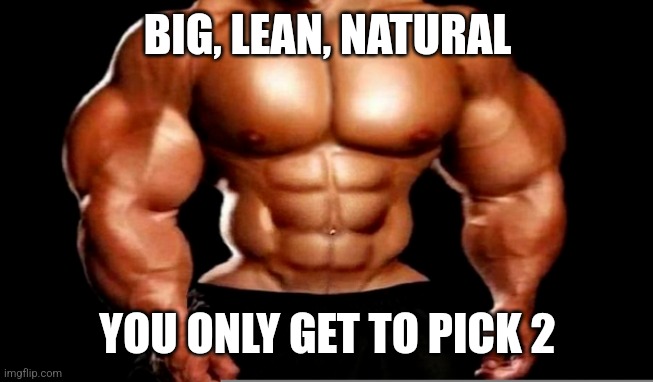 BIG, LEAN, NATURAL; YOU ONLY GET TO PICK 2 | image tagged in funny memes | made w/ Imgflip meme maker