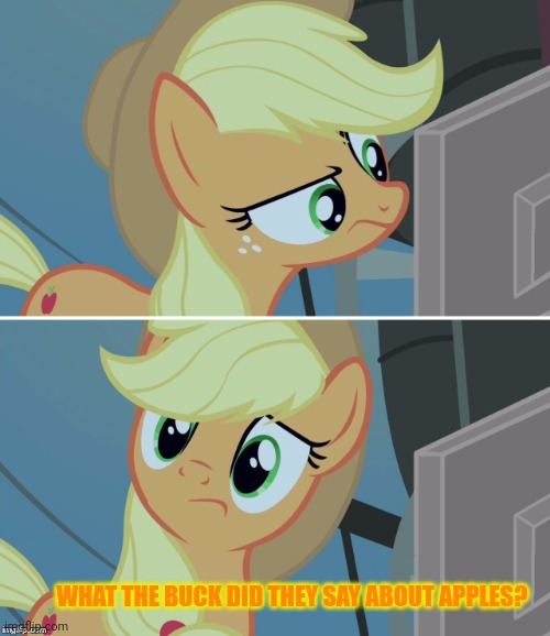 AJ hates the interwebz | WHAT THE BUCK DID THEY SAY ABOUT APPLES? | image tagged in applejack computer,applejack,hey internet,apple | made w/ Imgflip meme maker