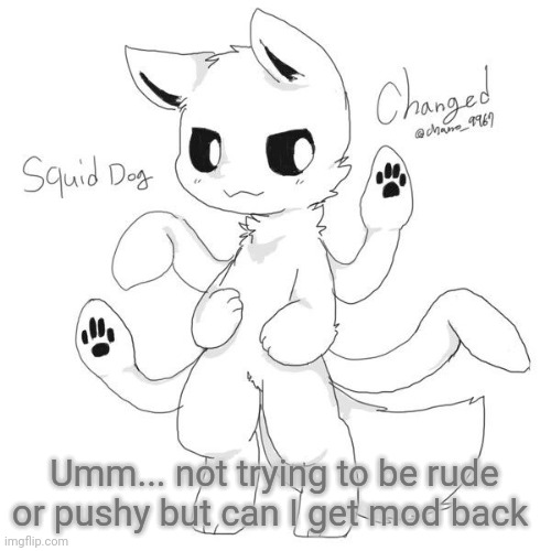 Idk mod resets and stuff | Umm... not trying to be rude or pushy but can I get mod back | image tagged in squid dog | made w/ Imgflip meme maker