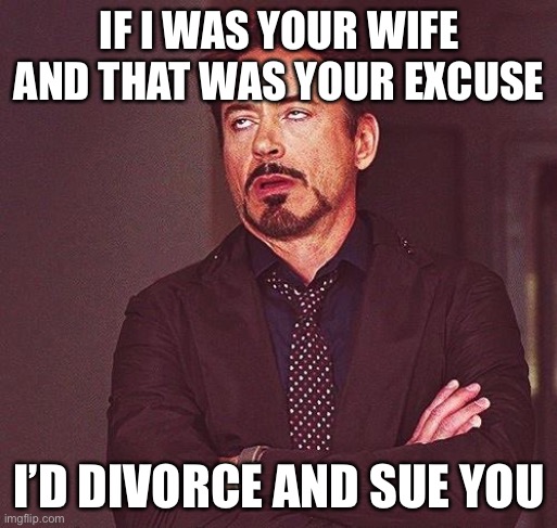 Robert Downey Jr Annoyed | IF I WAS YOUR WIFE AND THAT WAS YOUR EXCUSE I’D DIVORCE AND SUE YOU | image tagged in robert downey jr annoyed | made w/ Imgflip meme maker