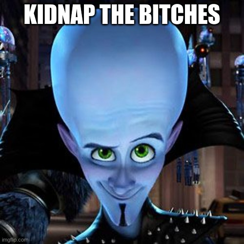 image tagged in kidnap the bitches | made w/ Imgflip meme maker