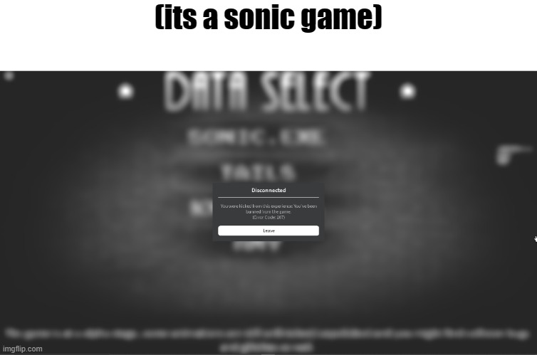 LOLLLLL | (its a sonic game) | image tagged in banned | made w/ Imgflip meme maker