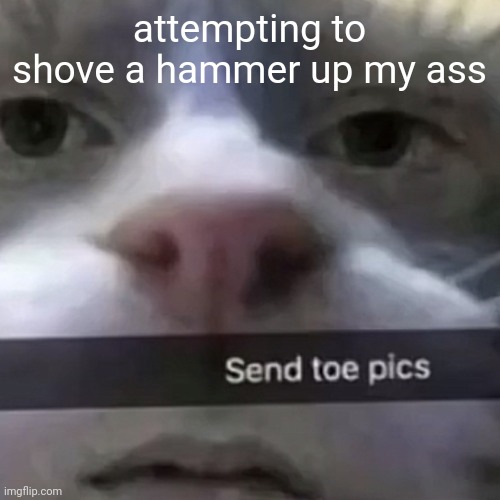 LET'S GET THIS VID TO 3M LIKES!!! | attempting to shove a hammer up my ass | image tagged in kat | made w/ Imgflip meme maker