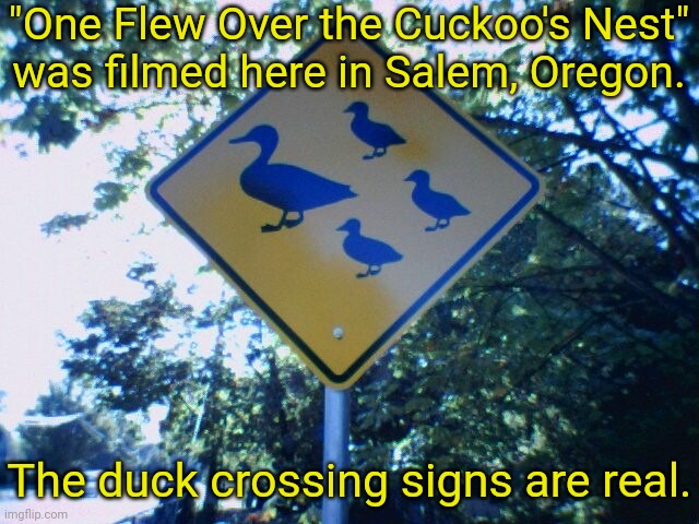 Interiors were the Oregon State Hospital. | "One Flew Over the Cuckoo's Nest"
was filmed here in Salem, Oregon. The duck crossing signs are real. | image tagged in duck crossing - salem oregon,movie | made w/ Imgflip meme maker