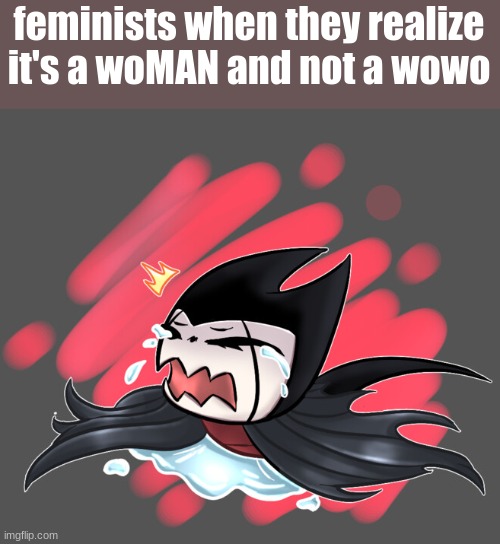 grimmchild crying | feminists when they realize it's a woMAN and not a wowo | image tagged in grimmchild crying | made w/ Imgflip meme maker