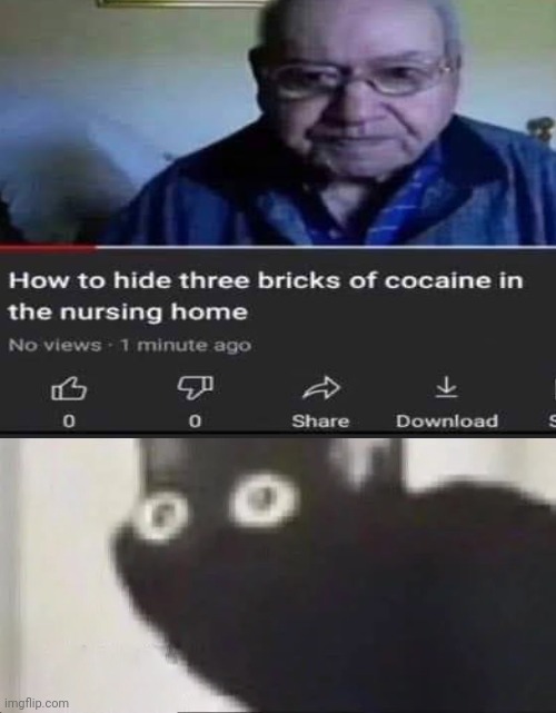 YouTube tutorials | image tagged in scared cat,how  how to hide three bricks fo cocaine in a nursing home,memes,funny | made w/ Imgflip meme maker