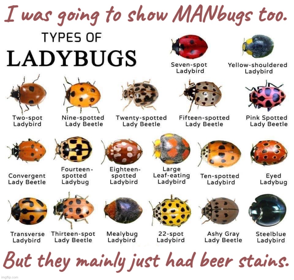 Naturally ... | I was going to show MANbugs too. But they mainly just had beer stains. | image tagged in nature,bugs,rick75230 | made w/ Imgflip meme maker