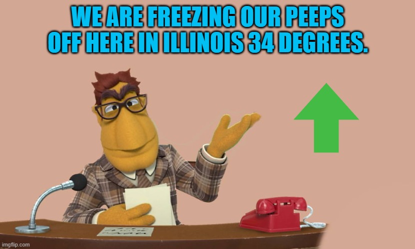 WE ARE FREEZING OUR PEEPS OFF HERE IN ILLINOIS 34 DEGREES. | image tagged in news | made w/ Imgflip meme maker