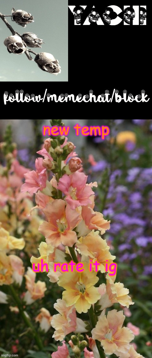 Yachi's snapdragon temp | new temp; uh rate it ig | image tagged in yachi's snapdragon temp | made w/ Imgflip meme maker