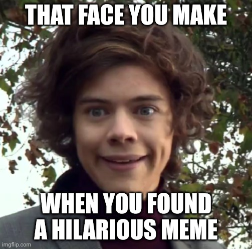 Hilarious meme | THAT FACE YOU MAKE; WHEN YOU FOUND A HILARIOUS MEME | image tagged in harry funny face,funny | made w/ Imgflip meme maker