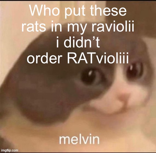 O | Who put these rats in my raviolii
i didn’t order RATvioliii | image tagged in melvin | made w/ Imgflip meme maker