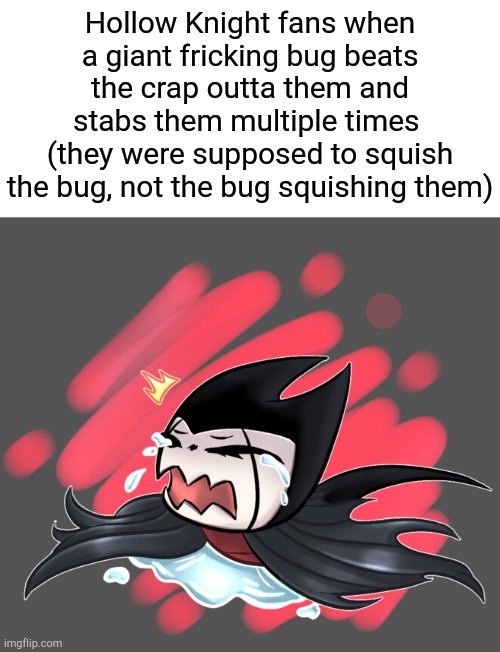 grimmchild crying | Hollow Knight fans when a giant fricking bug beats the crap outta them and stabs them multiple times 
(they were supposed to squish the bug, not the bug squishing them) | image tagged in grimmchild crying | made w/ Imgflip meme maker