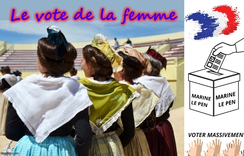 The People`s Vote | image tagged in french revolution | made w/ Imgflip meme maker