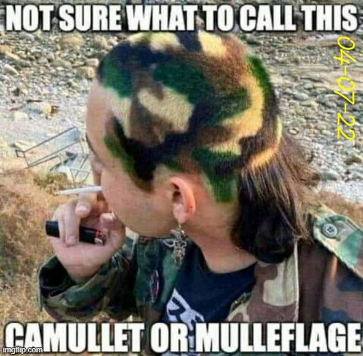 Camo | image tagged in ammo | made w/ Imgflip meme maker