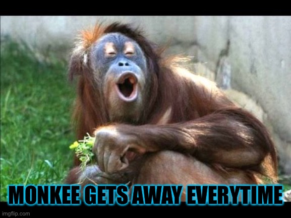 Oh snap | MONKEE GETS AWAY EVERYTIME | image tagged in oh snap | made w/ Imgflip meme maker