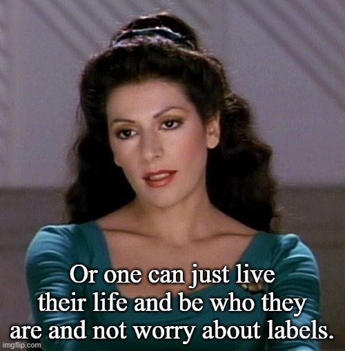 Counselor Deanna Troi | Or one can just live their life and be who they are and not worry about labels. | image tagged in counselor deanna troi | made w/ Imgflip meme maker