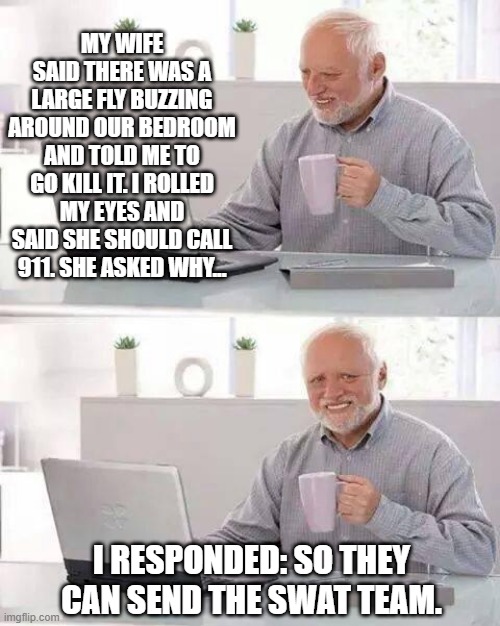 Fly Die | MY WIFE SAID THERE WAS A LARGE FLY BUZZING AROUND OUR BEDROOM AND TOLD ME TO GO KILL IT. I ROLLED MY EYES AND SAID SHE SHOULD CALL 911. SHE ASKED WHY... I RESPONDED: SO THEY CAN SEND THE SWAT TEAM. | image tagged in memes,hide the pain harold | made w/ Imgflip meme maker
