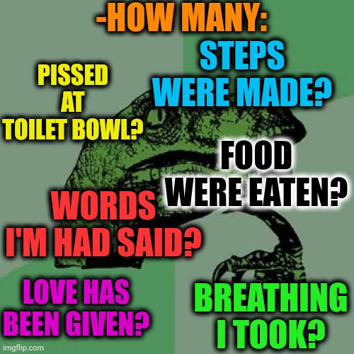 -Just to be sure. | -HOW MANY:; STEPS WERE MADE? PISSED AT TOILET BOWL? FOOD WERE EATEN? WORDS I'M HAD SAID? BREATHING I TOOK? LOVE HAS BEEN GIVEN? | image tagged in memes,philosoraptor,too many,we are number one,calculating meme,my life | made w/ Imgflip meme maker