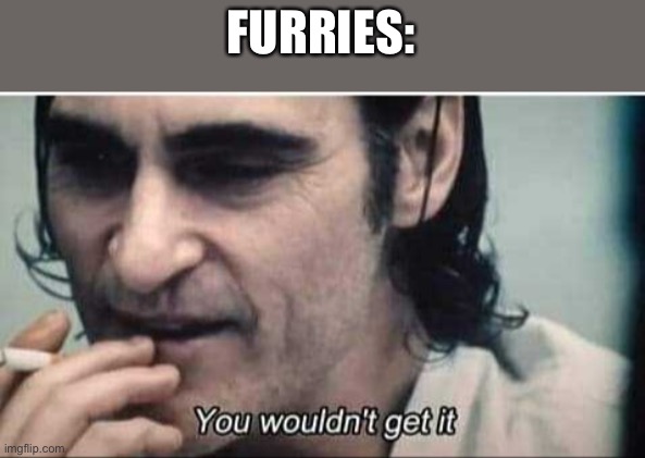 You wouldn't get it | FURRIES: | image tagged in you wouldn't get it | made w/ Imgflip meme maker