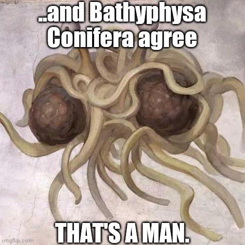 DNA, Nature, and God | ..and Bathyphysa Conifera agree; THAT'S A MAN. | image tagged in flying spaghetti monster,i don't care,stop,it's alive,division,brainwashing | made w/ Imgflip meme maker