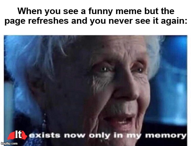 This hurts a lot, especially on Pinterest | When you see a funny meme but the page refreshes and you never see it again:; It | image tagged in he exists now only in my memory | made w/ Imgflip meme maker