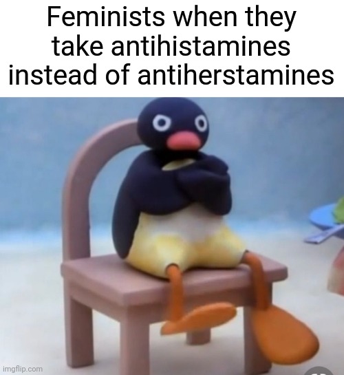 Antiherstamines |  Feminists when they take antihistamines instead of antiherstamines | image tagged in angry pingu,funny,memes,feminism,triggered feminist,feminist | made w/ Imgflip meme maker