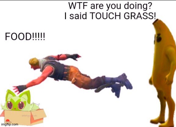 Touch grass | IMAGINE READING THE IMAGE DESCRIPTION LOL... | image tagged in touch grass | made w/ Imgflip meme maker