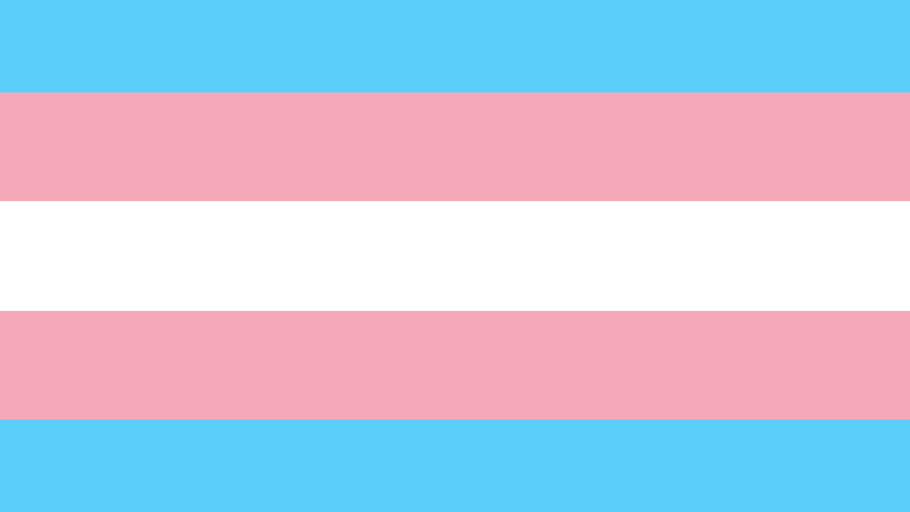 High Quality Trans Pride Flag Blank Meme Template