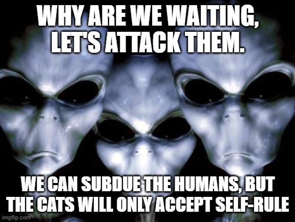 Domesticated? I think not | WHY ARE WE WAITING, LET'S ATTACK THEM. WE CAN SUBDUE THE HUMANS, BUT THE CATS WILL ONLY ACCEPT SELF-RULE | image tagged in angry aliens,cats will never surrender,stupid humans,domesticated cats,self-rule,the truth is out there | made w/ Imgflip meme maker