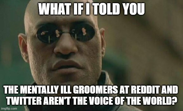 Reddit And Twitter Are Shitty SJW Shithole Websites. NEVER Take Their Voice As If They Are The "World's Opinions" On A Subject | WHAT IF I TOLD YOU; THE MENTALLY ILL GROOMERS AT REDDIT AND 
TWITTER AREN'T THE VOICE OF THE WORLD? | image tagged in memes,matrix morpheus,reddit,twitter,shithole,sjw | made w/ Imgflip meme maker