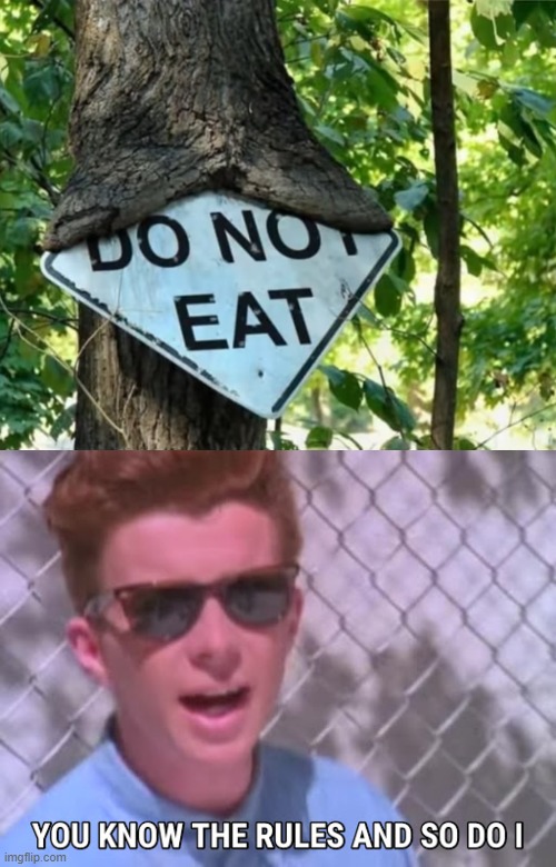 image tagged in rick astley you know the rules | made w/ Imgflip meme maker