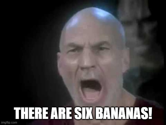 Picard Four Lights | THERE ARE SIX BANANAS! | image tagged in picard four lights | made w/ Imgflip meme maker