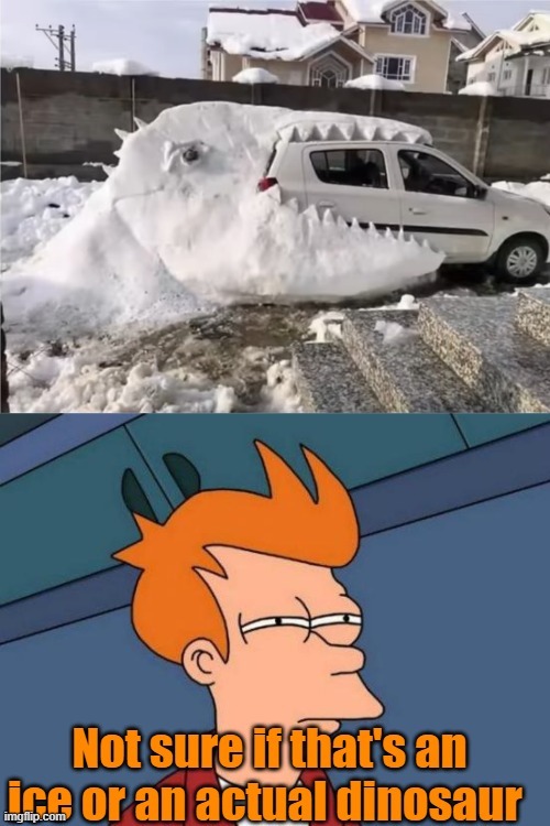 Not sure if that's an ice or an actual dinosaur | image tagged in memes,futurama fry | made w/ Imgflip meme maker