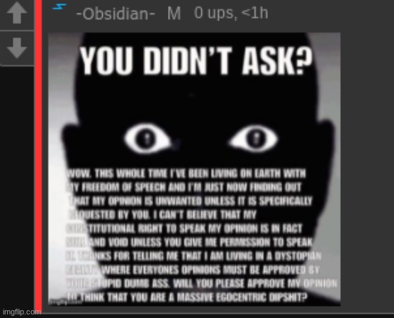 yes your opinion is unwanted | made w/ Imgflip meme maker