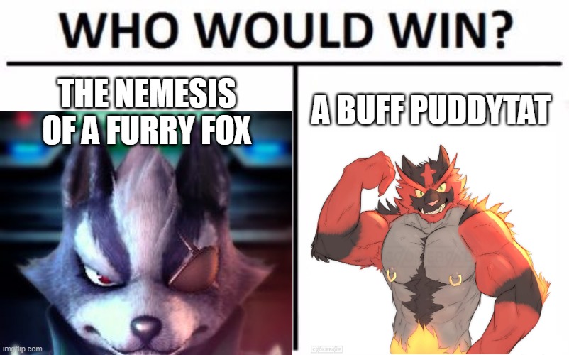 smash bracket commited furry battle |  A BUFF PUDDYTAT; THE NEMESIS OF A FURRY FOX | image tagged in who would win,starfox,pokemon sun and moon,nintendo,pokemon,wolf | made w/ Imgflip meme maker