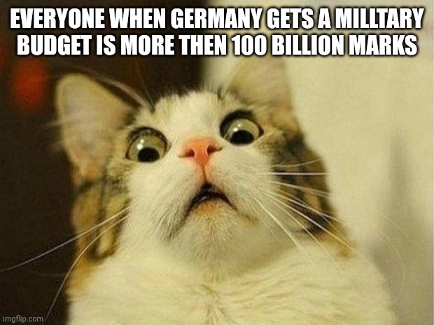 Scared Cat Meme | EVERYONE WHEN GERMANY GETS A MILLTARY BUDGET IS MORE THEN 100 BILLION MARKS | image tagged in memes,scared cat | made w/ Imgflip meme maker