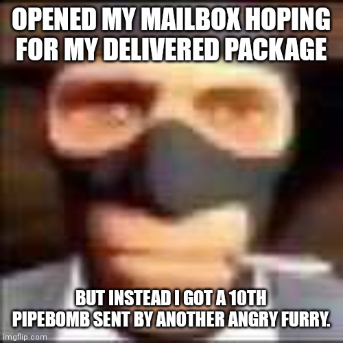 spi | OPENED MY MAILBOX HOPING FOR MY DELIVERED PACKAGE; BUT INSTEAD I GOT A 10TH PIPEBOMB SENT BY ANOTHER ANGRY FURRY. | image tagged in spi | made w/ Imgflip meme maker