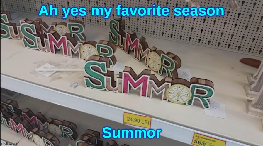 S U M M O R | Ah yes my favorite season; Summor | made w/ Imgflip meme maker