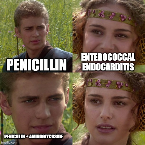 Anakin Padme 4 Panel | PENICILLIN; ENTEROCOCCAL ENDOCARDITIS; PENICILLIN + AMINOGLYCOSIDE | image tagged in anakin padme 4 panel | made w/ Imgflip meme maker