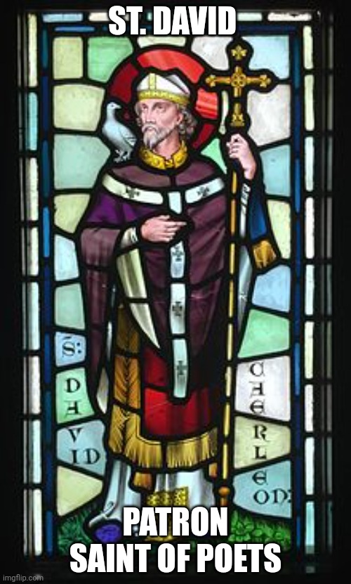 St. David | ST. DAVID; PATRON SAINT OF POETS | image tagged in catholic,saints,poetry,poem,books,love | made w/ Imgflip meme maker