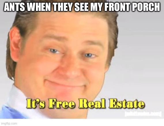 It's Free Real Estate | ANTS WHEN THEY SEE MY FRONT PORCH | image tagged in it's free real estate | made w/ Imgflip meme maker