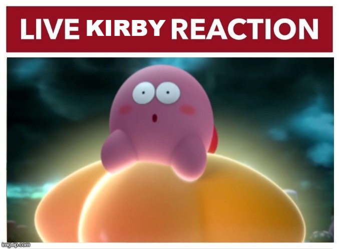 LIVE KIRBY REACTION |  KIRBY | image tagged in kirby,reaction | made w/ Imgflip meme maker