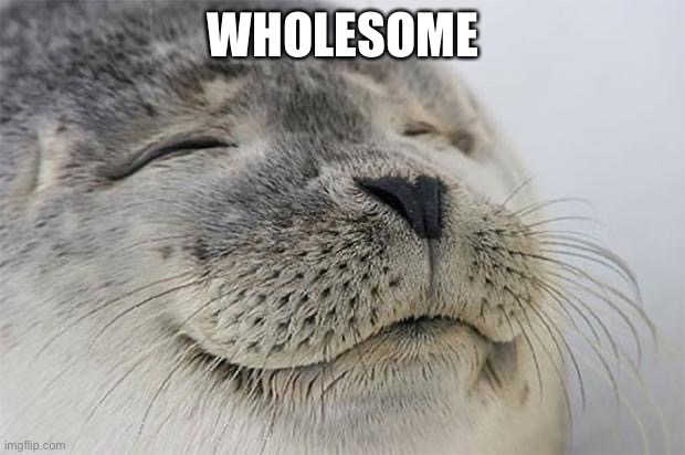Satisfied Seal Meme | WHOLESOME | image tagged in memes,satisfied seal | made w/ Imgflip meme maker