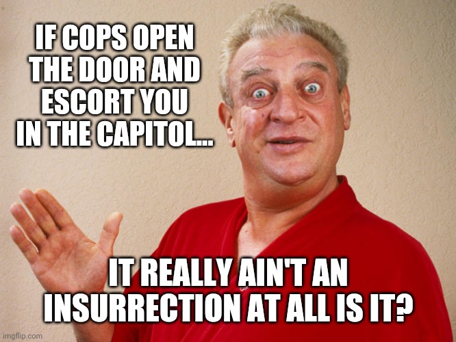 It was a fedsurrection. |  IF COPS OPEN THE DOOR AND ESCORT YOU IN THE CAPITOL... IT REALLY AIN'T AN INSURRECTION AT ALL IS IT? | image tagged in memes | made w/ Imgflip meme maker