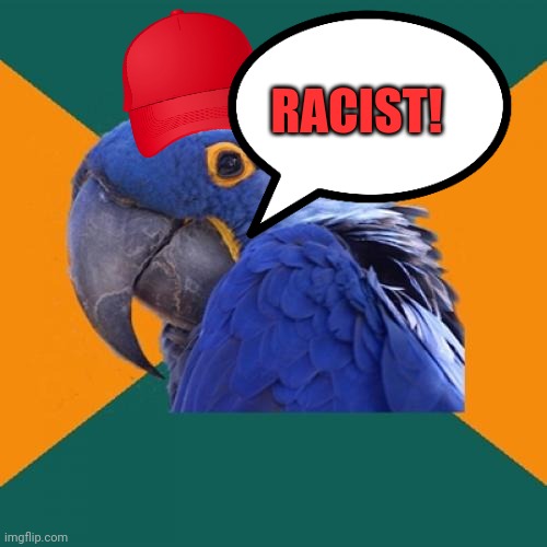 Paranoid Parrot Meme | RACIST! | image tagged in memes,paranoid parrot | made w/ Imgflip meme maker