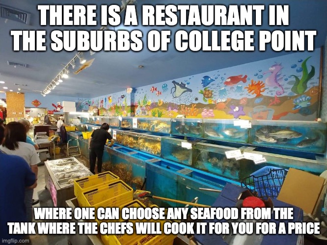 Seafood Restaurant in College Point | THERE IS A RESTAURANT IN THE SUBURBS OF COLLEGE POINT; WHERE ONE CAN CHOOSE ANY SEAFOOD FROM THE TANK WHERE THE CHEFS WILL COOK IT FOR YOU FOR A PRICE | image tagged in restaurant,memes | made w/ Imgflip meme maker