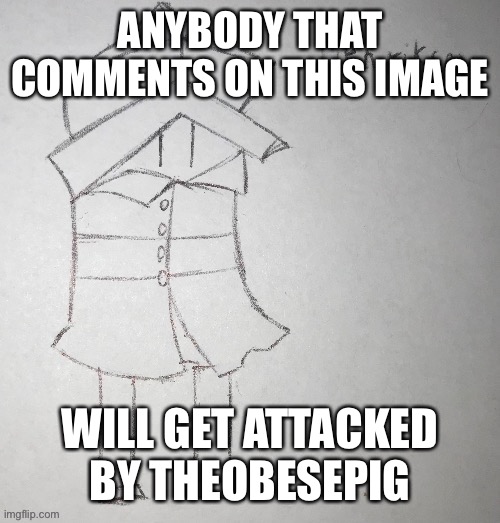 henrik | ANYBODY THAT COMMENTS ON THIS IMAGE; WILL GET ATTACKED BY THEOBESEPIG | image tagged in henry j henrikson | made w/ Imgflip meme maker