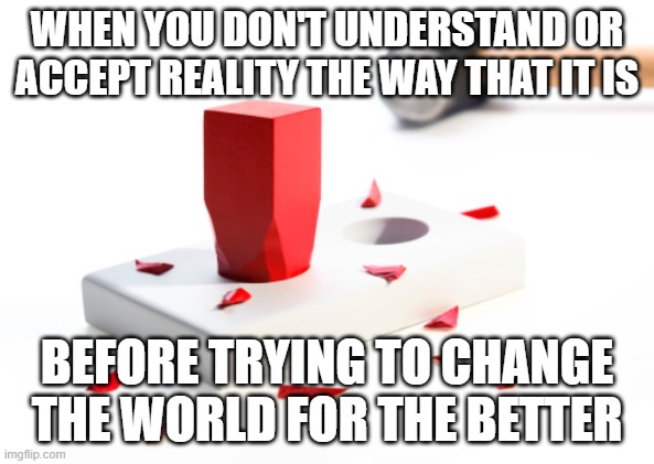 "Dream in a pragmatic way." - Aldous Huxley | WHEN YOU DON'T UNDERSTAND OR ACCEPT REALITY THE WAY THAT IT IS; BEFORE TRYING TO CHANGE THE WORLD FOR THE BETTER | image tagged in reality,reality check,understanding,acceptance,change,progress | made w/ Imgflip meme maker