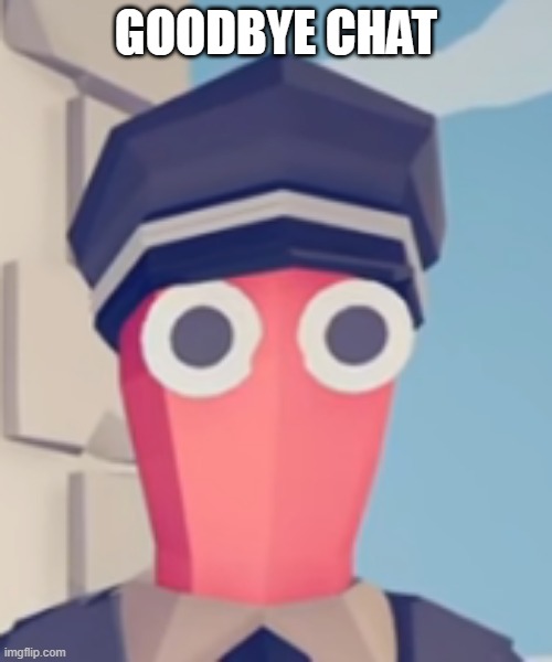 TABS Stare | GOODBYE CHAT | image tagged in tabs stare | made w/ Imgflip meme maker